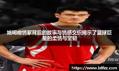 姚明痴情冢背后的故事与情感交织揭示了篮球巨星的柔情与坚韧